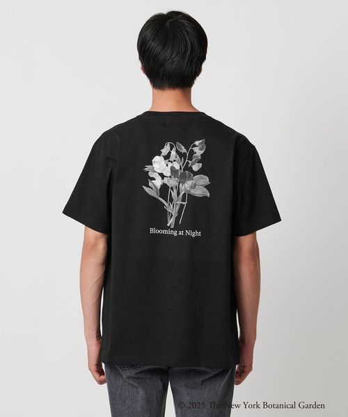 NOUQUE ヌーク ハイヒールプリントTシャツ SALE 別注】＜New York Botanical Garden＞クルーネック Tシャツ 2