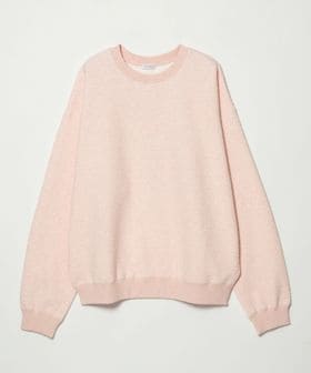 BEAUTY&YOUTH/【WEB限定】ブリスター ジャガード スウェット/スウェット / パーカー