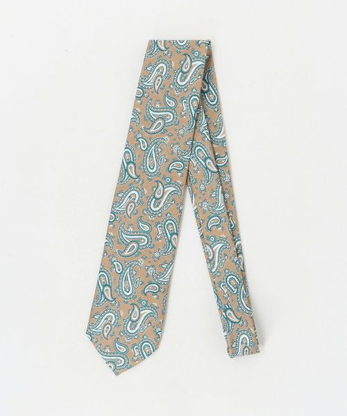 STEFANO BIGI/＜STEFANO BIGI＞ラスティック ペイズリー プリント ネクタイ/ネクタイ / ボウタイ