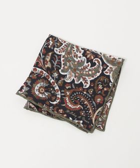 Holliday & Brown/＜HOLLIDAY＆BROWN＞ ペイズリー プリント ポケットチーフ/ポケットチーフ