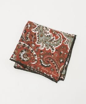 Holliday & Brown/＜HOLLIDAY＆BROWN＞ ペイズリー プリント ポケットチーフ/ポケットチーフ