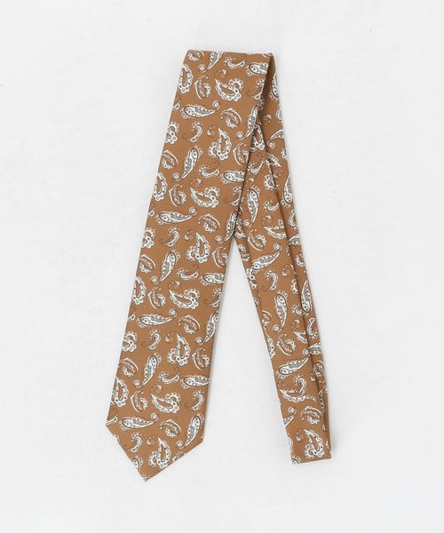 ERRICO FORMICOLA/＜ERRICO FORMICOLA＞ペイズリー プリント ネクタイ/ネクタイ / ボウタイ