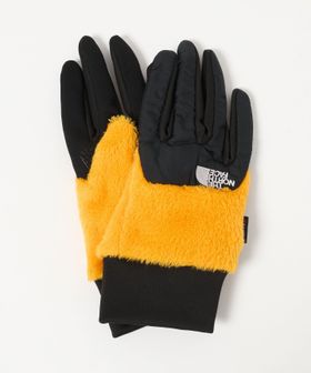 THE NORTH FACE/＜THE NORTH FACE＞デナリ イーチップ グローブ/グローブ / 手袋