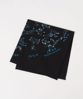 BEAUTY&YOUTH/＜Printed Image＞スターズ バンダナ/ハンカチ / バンダナ