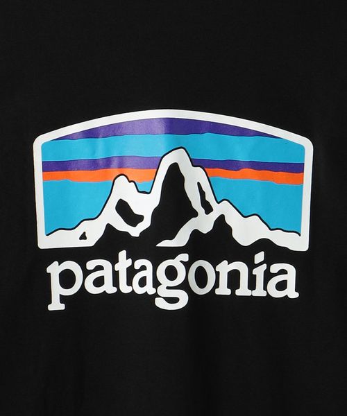 Patagonia パタゴニア ロゴプリント ロングスリーブ Tシャツ
