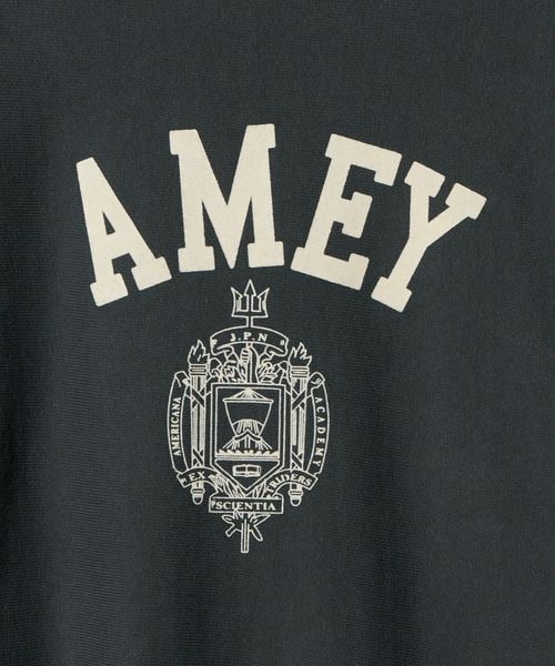 Americana　AMEY　プルオーバー　ロゴパーカー　【M】 楽天市場】アメリカーナ パーカー（スタイル（パーカー）プル