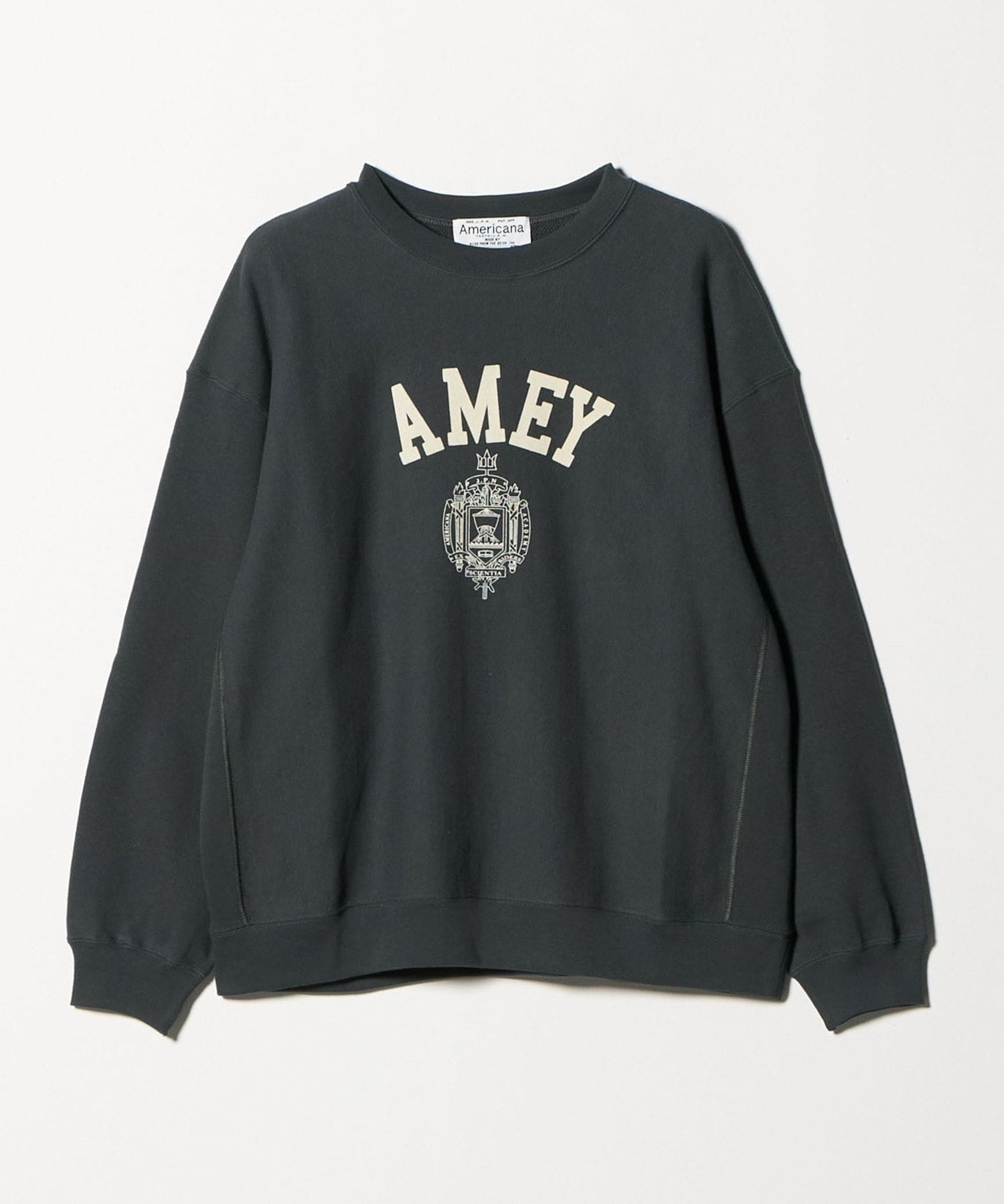 Americana　AMEY　プルオーバー　ロゴパーカー　【M】 Americana＞ロゴスウェット プルオーバー