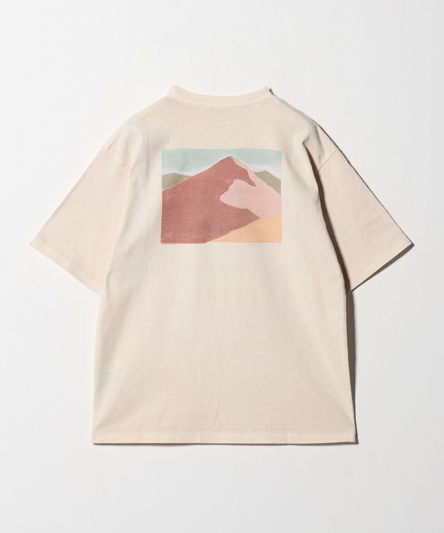 PHEENY プリントクルーネックカットソー PHEENY/PRINT FRILL CREW NECK(MULTI)