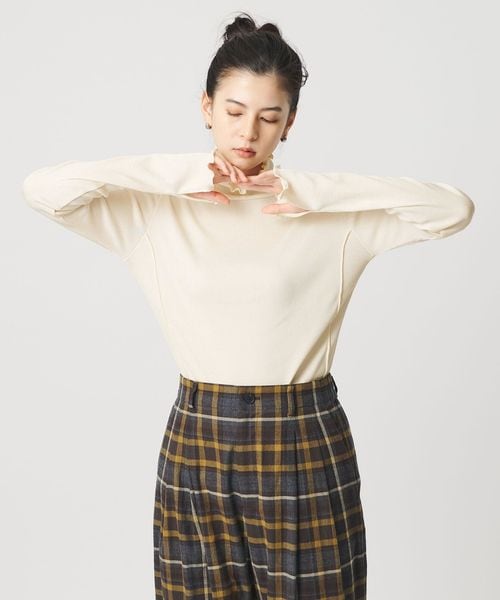 BEAUTY&YOUTH/ポリエステルコットンテレコ メロータートルネック カットソー/Tシャツ / カットソー