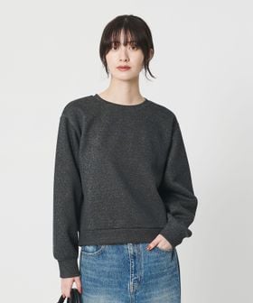 BEAUTY&YOUTH/ポリエステルコットンブレンド ラメダンボール プルオーバー/ブラック/Tシャツ / カットソー