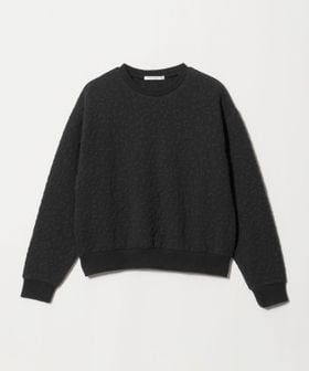BEAUTY&YOUTH/フラワーレオパード ジャガード クルーネック プルオーバー/Tシャツ / カットソー