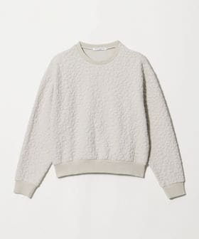 BEAUTY&YOUTH/フラワーレオパード ジャガード クルーネック プルオーバー/Tシャツ / カットソー