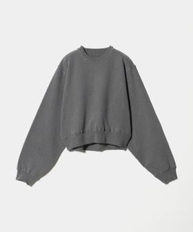 H BEAUTY&YOUTH/＜H＞コットン ヴィンテージ バックガゼット スウェットプルオーバー/スウェット / パーカー