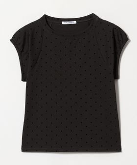 BEAUTY&YOUTH/コットン ドットプリント  Tシャツ/Tシャツ / カットソー