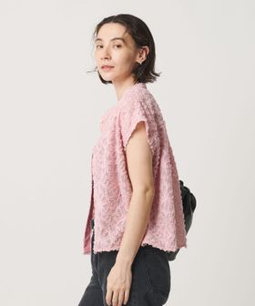 BEAUTY&YOUTH/【WEB限定】シアージャガード バンドカラーフレンチスリーブブラウス ウォッシャブル/シャツ / ブラウス