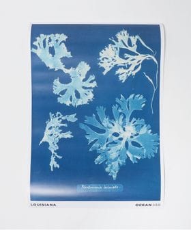 UNITED ARROWS/＜LOUISIANA MUSEUM OF MODERN ART＞POSTERS A2/その他ライフスタイル雑貨