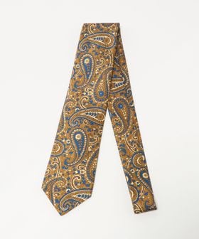 green label relaxing/GLR 8.0cm ペイズリー2 ITALY ネクタイ/ネクタイ / ボウタイ