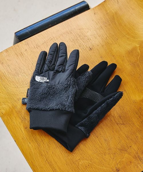 THE NORTH FACE/＜THE NORTH FACE＞デナリ イーチップ グローブ/グローブ / 手袋