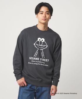 SESAME STREET/【別注】＜SESAME STREET＞GLR クルーネック スウェット/スウェット / パーカー