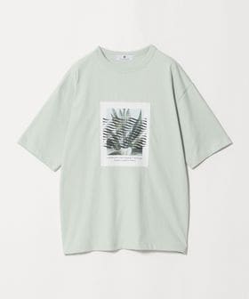 Phospho Graphica/＜Phospho Graphica＞グラフィック 半袖 Tシャツ カットソー/Tシャツ / カットソー