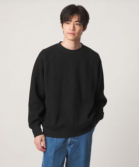 green label relaxing/ウェーブ ダブルフェイス クルーネック Tシャツ/Tシャツ / カットソー
