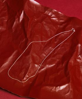 green label relaxing/GLR スネーク シルバー ネックレス/ネックレス