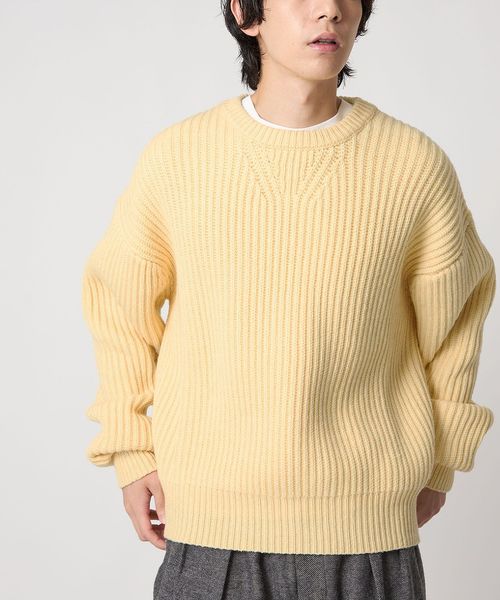 CITEN/＜CITEN＞アゼニットプルオーバー/ニット / セーター