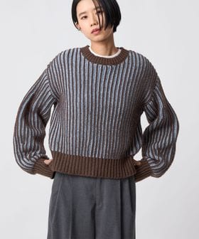 CITEN/＜CITEN＞ボリュームスリーブカラフルアゼニット/ニット / セーター