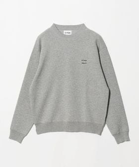 CITEN/＜CITEN＞スウェットライクニット/ニット / セーター
