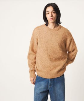 CITEN/＜CITEN＞シャギークルーネックニット/ニット / セーター