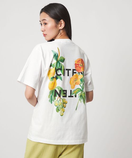 CITEN/【別注】＜TOLIGHT ×CITEN＞ プリントT/Tシャツ / カットソー