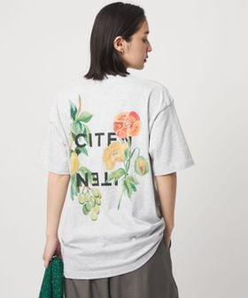 CITEN/【別注】＜TOLIGHT ×CITEN＞ プリントTグレー/Tシャツ / カットソー
