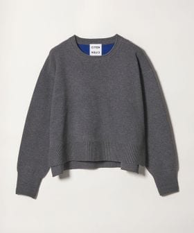 CITEN/＜CITEN＞スウェットライクニット/ニット / セーター