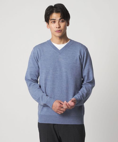 A DAY IN THE LIFE/ハイゲージ プレーティング テンジク Vネックニット＜A DAY IN THE LIFE＞/ニット / セーター