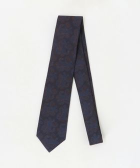 A DAY IN THE LIFE/ペイズリー ネクタイ1＜A DAY IN THE LIFE＞/ネクタイ / ボウタイ