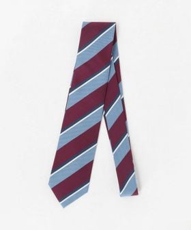 A DAY IN THE LIFE/ストライプ ネクタイ 1＜A DAY IN THE LIFE＞/ネクタイ / ボウタイ