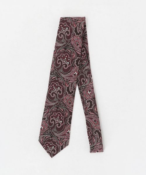 A DAY IN THE LIFE/ペイズリー ネクタイ 1＜A DAY IN THE LIFE＞/ネクタイ / ボウタイ