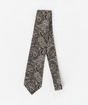 A DAY IN THE LIFE/ペイズリー ネクタイ 1＜A DAY IN THE LIFE＞/ネクタイ / ボウタイ