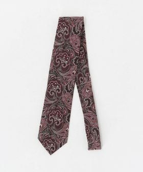 A DAY IN THE LIFE/ペイズリー ネクタイ 1＜A DAY IN THE LIFE＞/ネクタイ / ボウタイ