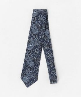 A DAY IN THE LIFE/ペイズリー ネクタイ 1＜A DAY IN THE LIFE＞/ネクタイ / ボウタイ