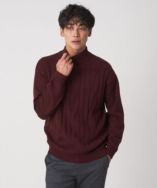 A DAY IN THE LIFE/ビッグ ケーブル モックネックニット―ウォッシャブル―＜A DAY IN THE LIFE＞/ニット / セーター