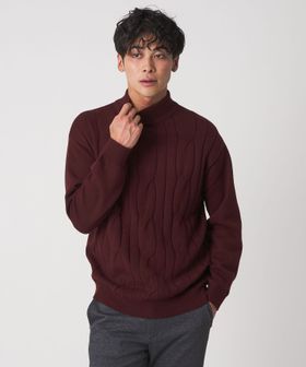 A DAY IN THE LIFE/ビッグ ケーブル モックネックニット―ウォッシャブル―＜A DAY IN THE LIFE＞/ニット / セーター