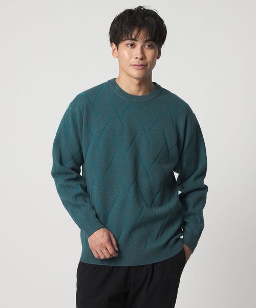 A DAY IN THE LIFE/ミドルゲージ リンクス クルーネックニット―ウォッシャブル―＜A DAY IN THE LIFE＞/ニット / セーター