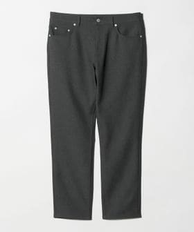 A DAY IN THE LIFE/サージ 5ポケット スリムパンツ＜A DAY IN THE LIFE＞/その他パンツ