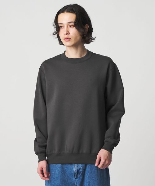 A DAY IN THE LIFE/シャイニー クルーネック スウェット＜A DAY IN THE LIFE＞/スウェット / パーカー