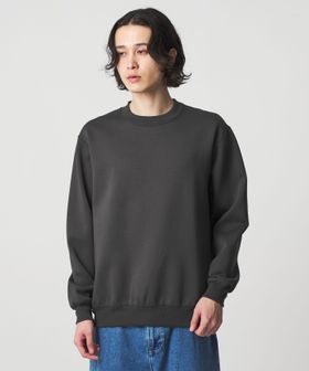 A DAY IN THE LIFE/シャイニー クルーネック スウェット＜A DAY IN THE LIFE＞/スウェット / パーカー