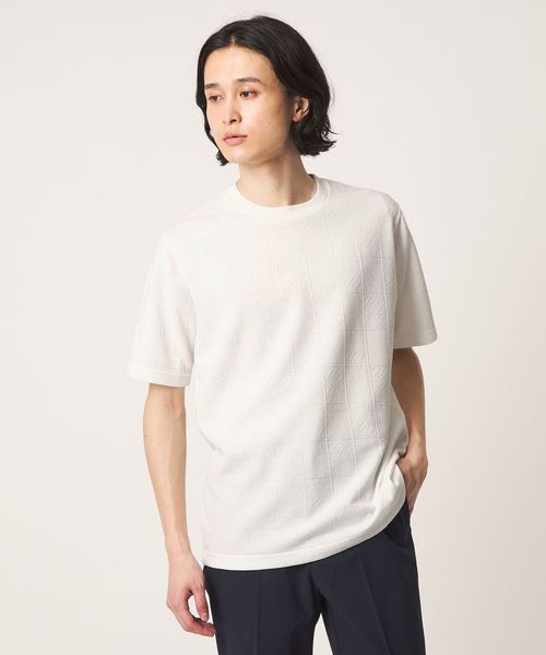 A DAY IN THE LIFE/バウンシー タイルジャガード ジャストカットソー＜A DAY IN THE LIFE＞/Tシャツ / カットソー