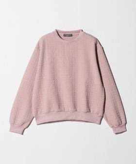 A DAY IN THE LIFE/ジャガード ハウンドトゥース プルオーバー ＜A DAY IN THE LIFE＞/Tシャツ / カットソー