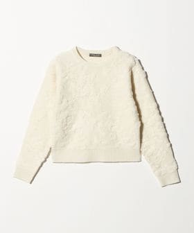 A DAY IN THE LIFE/ループジャガード クルーネックニット ＜A DAY IN THE LIFE＞/ニット / セーター