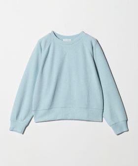 A DAY IN THE LIFE/ニットライク ラメステッチ スウェット ＜A DAY IN THE LIFE＞/スウェット / パーカー